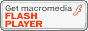 Flash Player ����������ɤϤ����餫��ɤ���